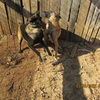 processed/e1758d24-dcd0-4b91-bee8-aadeccaa6060/facility/ad1d38da-d919-45e9-9802-1b72d6614456