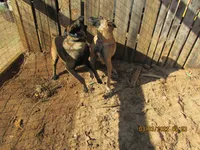 processed/e1758d24-dcd0-4b91-bee8-aadeccaa6060/facility/ad1d38da-d919-45e9-9802-1b72d6614456