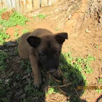 processed/e1758d24-dcd0-4b91-bee8-aadeccaa6060/facility/bed630e4-be95-4210-af14-d01fb85862a9