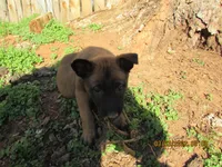 processed/e1758d24-dcd0-4b91-bee8-aadeccaa6060/facility/bed630e4-be95-4210-af14-d01fb85862a9