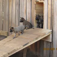 processed/e1758d24-dcd0-4b91-bee8-aadeccaa6060/facility/d93cd127-de50-44de-96e0-9f3c48c7498d