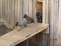 processed/e1758d24-dcd0-4b91-bee8-aadeccaa6060/facility/d93cd127-de50-44de-96e0-9f3c48c7498d