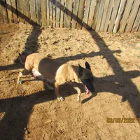 processed/e1758d24-dcd0-4b91-bee8-aadeccaa6060/facility/e1a5962e-b4bf-48f6-b646-12f5b0a18cc8