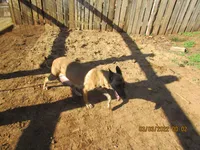 processed/e1758d24-dcd0-4b91-bee8-aadeccaa6060/facility/e1a5962e-b4bf-48f6-b646-12f5b0a18cc8