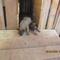 processed/e1758d24-dcd0-4b91-bee8-aadeccaa6060/facility/fc336422-2495-48f3-8c10-c23958d095e6