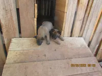 processed/e1758d24-dcd0-4b91-bee8-aadeccaa6060/facility/fc336422-2495-48f3-8c10-c23958d095e6