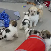 processed/e1777579-fe85-4f73-a851-5f8d748e15b2/facility/09975763-e8d3-455f-bdf8-1a10f7d1efb9