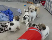 processed/e1777579-fe85-4f73-a851-5f8d748e15b2/facility/09975763-e8d3-455f-bdf8-1a10f7d1efb9