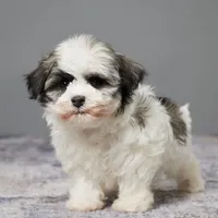 processed/e1777579-fe85-4f73-a851-5f8d748e15b2/facility/11d5957c-4c97-4b31-aa32-90cb69c944ab