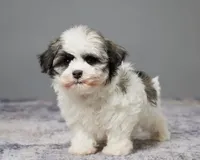 processed/e1777579-fe85-4f73-a851-5f8d748e15b2/facility/11d5957c-4c97-4b31-aa32-90cb69c944ab