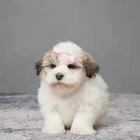 processed/e1777579-fe85-4f73-a851-5f8d748e15b2/facility/1412b97c-8eab-4619-aad9-3977b9f9c190