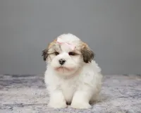 processed/e1777579-fe85-4f73-a851-5f8d748e15b2/facility/1412b97c-8eab-4619-aad9-3977b9f9c190