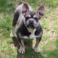 processed/e1777579-fe85-4f73-a851-5f8d748e15b2/facility/40ce40d0-c2b6-4ac7-b85b-14a0725777bb