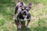 processed/e1777579-fe85-4f73-a851-5f8d748e15b2/facility/40ce40d0-c2b6-4ac7-b85b-14a0725777bb