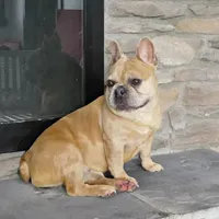 processed/e1777579-fe85-4f73-a851-5f8d748e15b2/facility/5ad96eca-0f63-4d46-8ac2-cffc42cb42fe