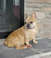 processed/e1777579-fe85-4f73-a851-5f8d748e15b2/facility/5ad96eca-0f63-4d46-8ac2-cffc42cb42fe