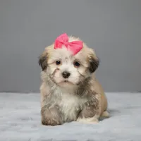 processed/e1777579-fe85-4f73-a851-5f8d748e15b2/facility/5eb74ea6-ad4e-4a80-8f36-6ddcbc13b368