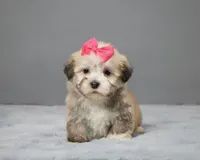 processed/e1777579-fe85-4f73-a851-5f8d748e15b2/facility/5eb74ea6-ad4e-4a80-8f36-6ddcbc13b368