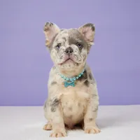 processed/e1777579-fe85-4f73-a851-5f8d748e15b2/facility/7a31c013-ed67-449a-bfc3-7a91d3ada4c3