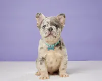 processed/e1777579-fe85-4f73-a851-5f8d748e15b2/facility/7a31c013-ed67-449a-bfc3-7a91d3ada4c3