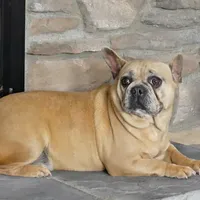 processed/e1777579-fe85-4f73-a851-5f8d748e15b2/facility/f3df5527-c745-4707-9f31-3c224654a99a