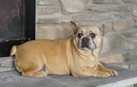 processed/e1777579-fe85-4f73-a851-5f8d748e15b2/facility/f3df5527-c745-4707-9f31-3c224654a99a