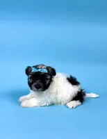 processed/e1777579-fe85-4f73-a851-5f8d748e15b2/listing/3808b140-505d-442c-97d4-a25607065e5e/72657105-9f0e-4c74-b3ea-11e939e75dc1