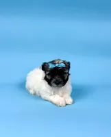 processed/e1777579-fe85-4f73-a851-5f8d748e15b2/listing/3808b140-505d-442c-97d4-a25607065e5e/b2dd380b-5be0-4c17-a098-1c4ac3eed91a