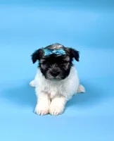 processed/e1777579-fe85-4f73-a851-5f8d748e15b2/listing/3808b140-505d-442c-97d4-a25607065e5e/d35beb27-e11f-4cba-97cb-aceb6b6d8b16