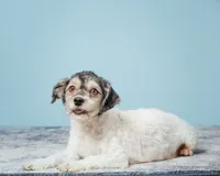 processed/e1777579-fe85-4f73-a851-5f8d748e15b2/listing/68a57b4f-d8e6-442f-ac43-df32bdf74d14/cae6e3aa-3873-452d-945a-55558960d977