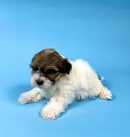 processed/e1777579-fe85-4f73-a851-5f8d748e15b2/listing/8f29a44f-41e1-4bde-99c3-168089863564/eb607d85-ad96-4542-b27f-7bb9cc6cbaef