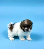 processed/e1777579-fe85-4f73-a851-5f8d748e15b2/listing/fb377622-828f-4199-ba12-4a1688fdc774/26286932-e767-47fb-8873-6eac127b57c5