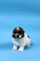 processed/e1777579-fe85-4f73-a851-5f8d748e15b2/listing/fb377622-828f-4199-ba12-4a1688fdc774/b738a244-8a3d-4de8-a213-ba7a71e0dd66