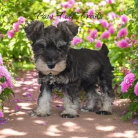 processed/e1896871-a2c6-4d6b-a734-db6bbbab1ea9/facility/bf888230-34c8-4967-bbbb-05cdb98a1b0f