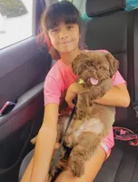 processed/e18aa53f-3eee-448d-8c06-d427ac71ec88/facility/eb37b601-1fe7-4436-bbcc-febd14186c4f