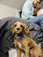 processed/e18d65e6-038a-4d36-bd76-6245b15ce633/facility/580896f2-a7d1-46f8-8a2c-e87c4f484cb1