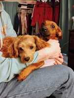 processed/e18d65e6-038a-4d36-bd76-6245b15ce633/facility/5f6fa328-f008-448e-b88c-b8fd546af150