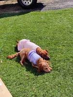 processed/e18d65e6-038a-4d36-bd76-6245b15ce633/facility/63b7daff-4a72-4226-89b0-85b2114599f9