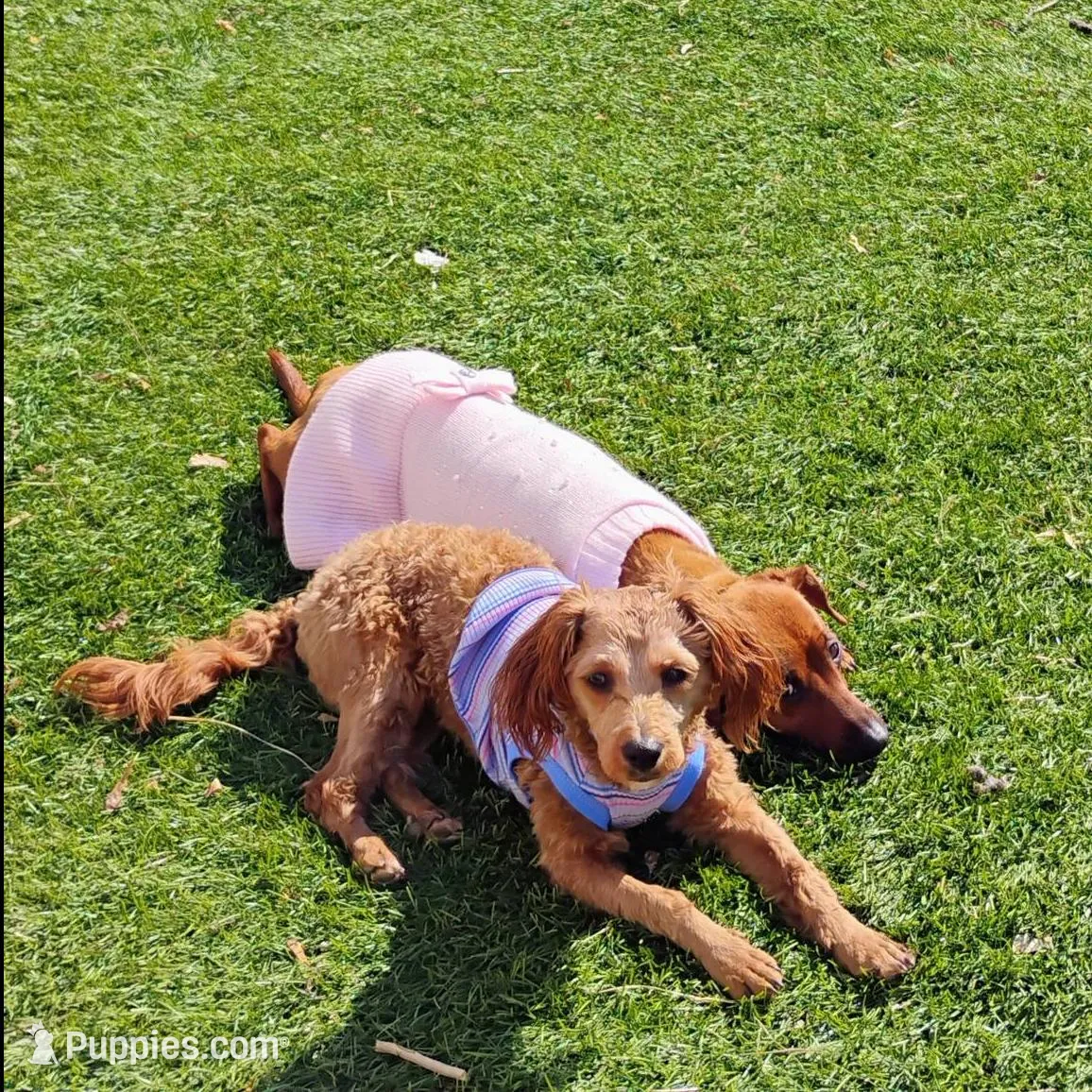 processed/e18d65e6-038a-4d36-bd76-6245b15ce633/facility/c3a0b594-4346-4134-a6b1-891049a82c23