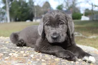 processed/e191aca3-0844-4214-b579-e97b4edb2ad6/listing/a77ccbe6-99c1-490c-a097-12fe3d463fbc/3147edf1-70d4-421f-a3ef-47dc970abfa7