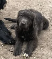 processed/e191aca3-0844-4214-b579-e97b4edb2ad6/listing/a77ccbe6-99c1-490c-a097-12fe3d463fbc/cf78dde1-0af9-4e7d-a922-2e894e9119b7