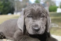 processed/e191aca3-0844-4214-b579-e97b4edb2ad6/listing/a77ccbe6-99c1-490c-a097-12fe3d463fbc/e5aa4567-4527-489a-a580-3142f4a35791