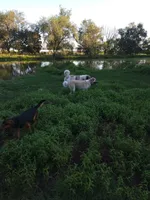 processed/e1ad0ad9-aeff-4bb2-8b10-230b46458df0/facility/8afe430b-4fa2-4241-8791-eab6dd8a54ad