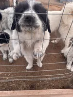 processed/e1afb7b7-7db5-427a-b62e-f08e79a9db31/listing/1a4130c0-3834-485c-a89b-af833e2b8a21/71cf1395-bae2-4ad3-9585-19cd8bb4dd96