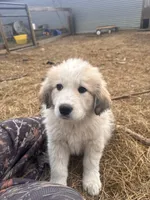 processed/e1afb7b7-7db5-427a-b62e-f08e79a9db31/listing/95bd288f-6934-4176-86c2-830e9bc6e594/b25c1f96-2e0b-4c81-99b5-6560f1729c7a