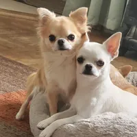 processed/e1b38013-1bb0-4ea3-b63b-00572e4234c2/facility/9ceb5b25-4938-4cef-b81e-4e65780c92ad