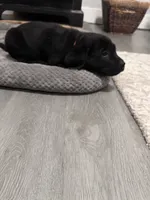 processed/e1b8c896-58fb-4fbb-b5db-22b65116460e/listing/c98d3dee-64d1-4c23-a248-c76587b18a80/3b3b0d57-d9aa-4bbe-a06c-50f747c98bda