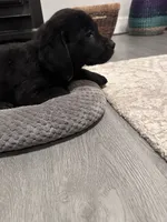 processed/e1b8c896-58fb-4fbb-b5db-22b65116460e/listing/c98d3dee-64d1-4c23-a248-c76587b18a80/41a33d6f-796a-40b3-b758-b3e5248d0911