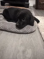 processed/e1b8c896-58fb-4fbb-b5db-22b65116460e/listing/c98d3dee-64d1-4c23-a248-c76587b18a80/d25b1439-78b8-45e0-9109-aeaf17b2aa12