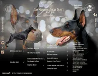 Eastleigh (pink) AKC, a female Doberman Pinscher for sale in Cedar Rapids, IA – Photo 8 of 10